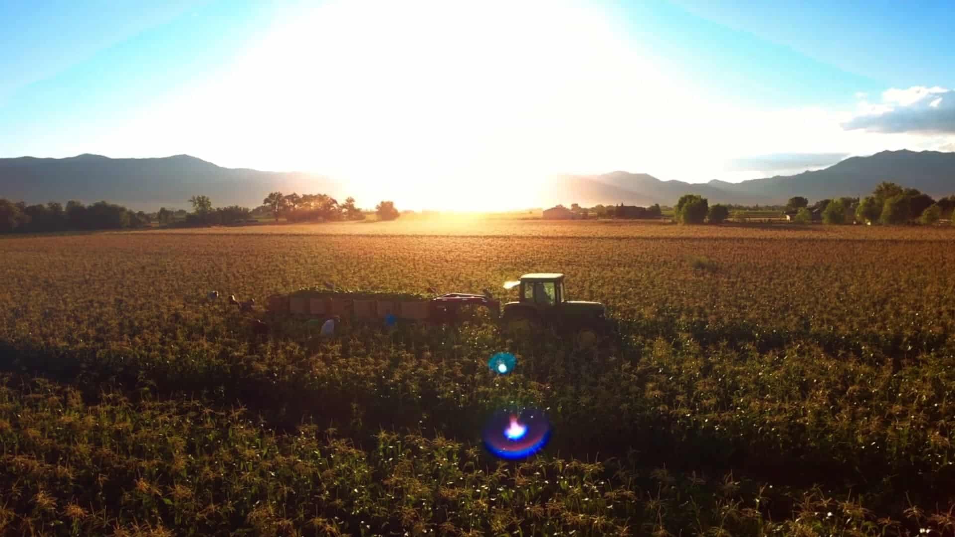 Local Utah farm at sunset